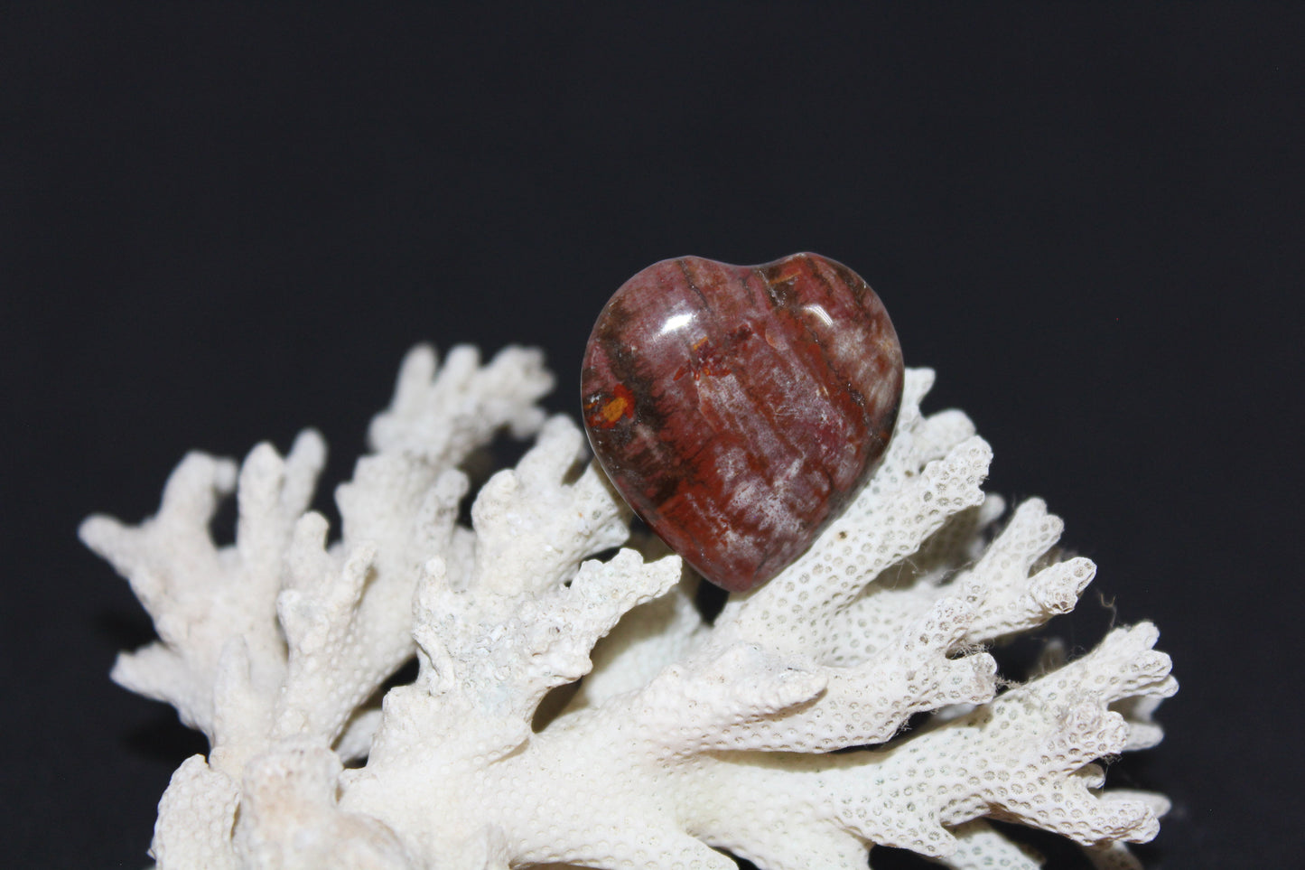 Heart - Jasper - xsml