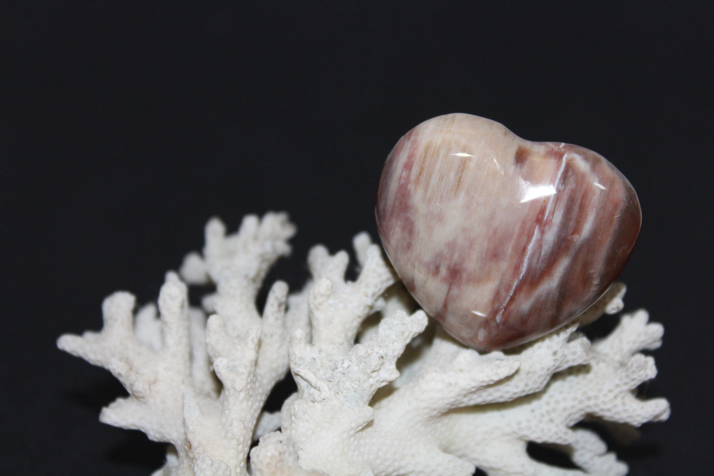 Heart - Jasper - sml/med