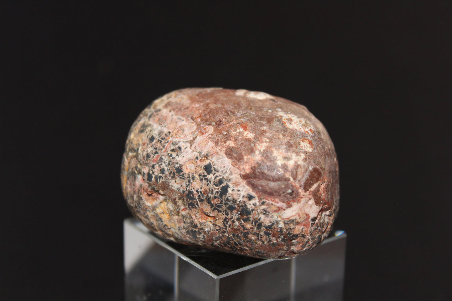 Large Tumble - Leopardskin Jasper