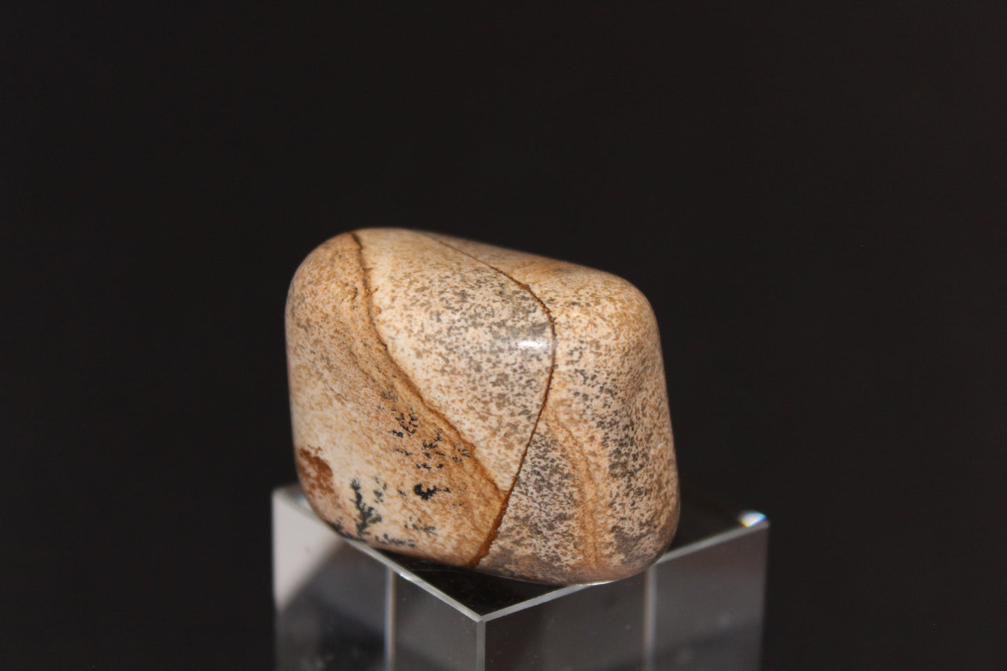 Large Tumble - Picture Jasper