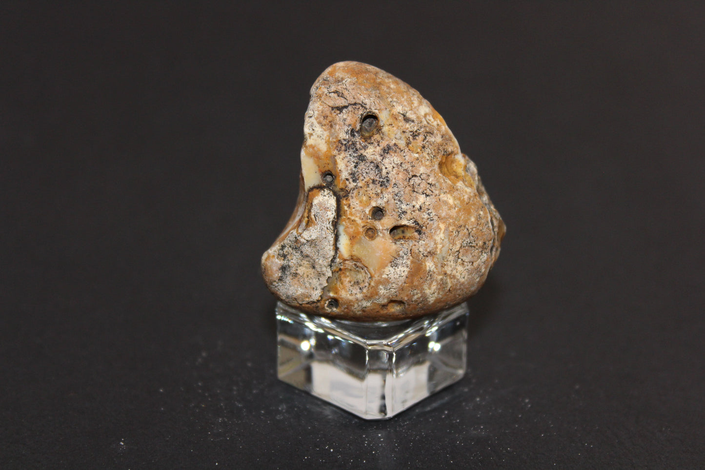 Windowed - Crazy Lace