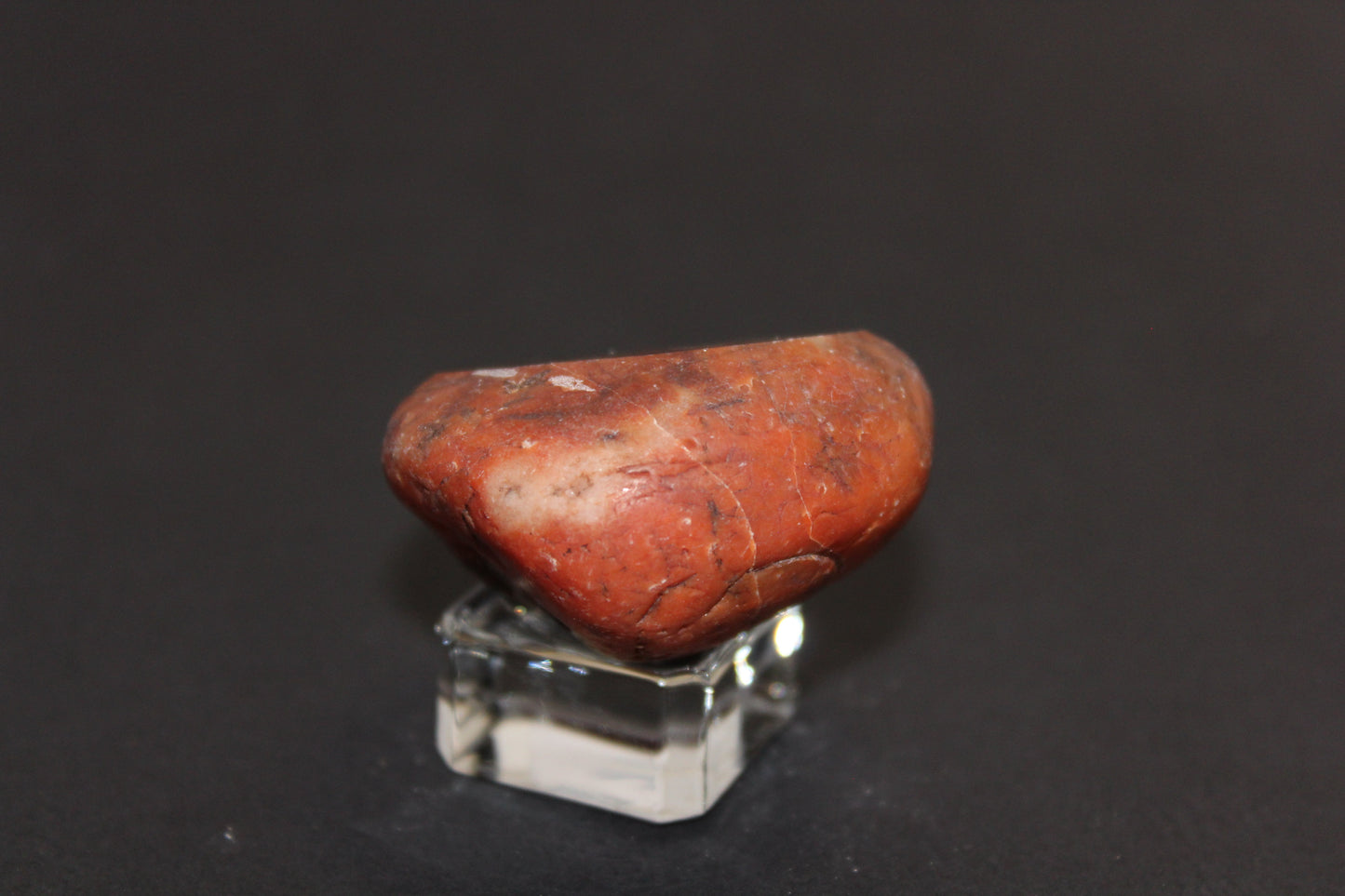 Windowed - Crazy Lace