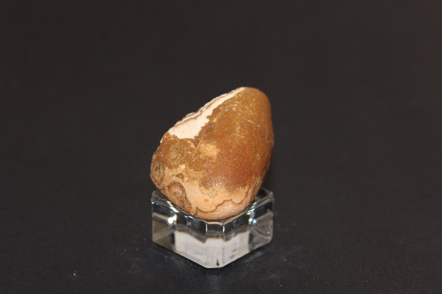 Windowed - Crazy Lace