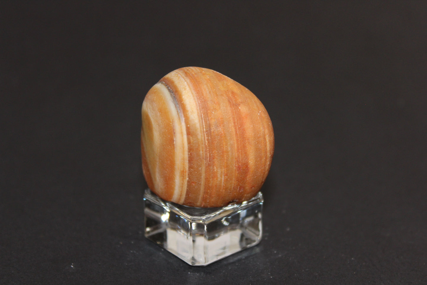 Windowed - Crazy Lace