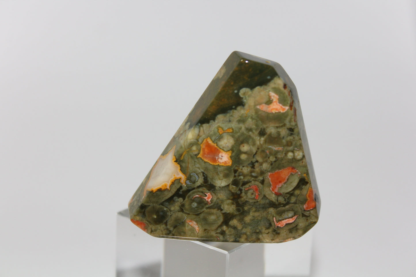 Slab - Rainforest Jasper