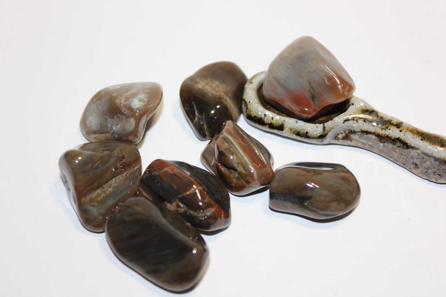 Tumbled - Petrified Wood - A+ - med