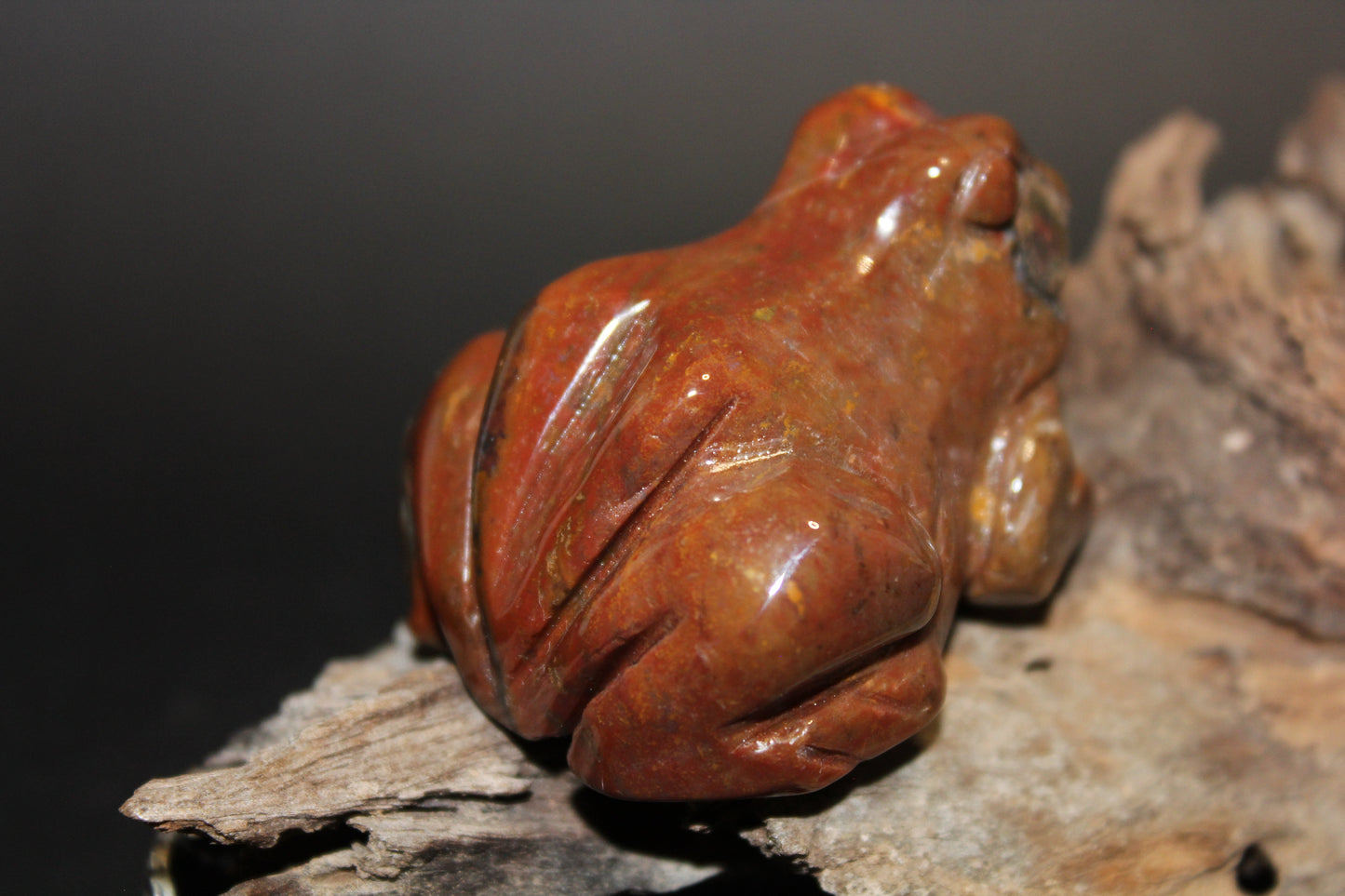 Animals - Frog - Brecciated Jasper