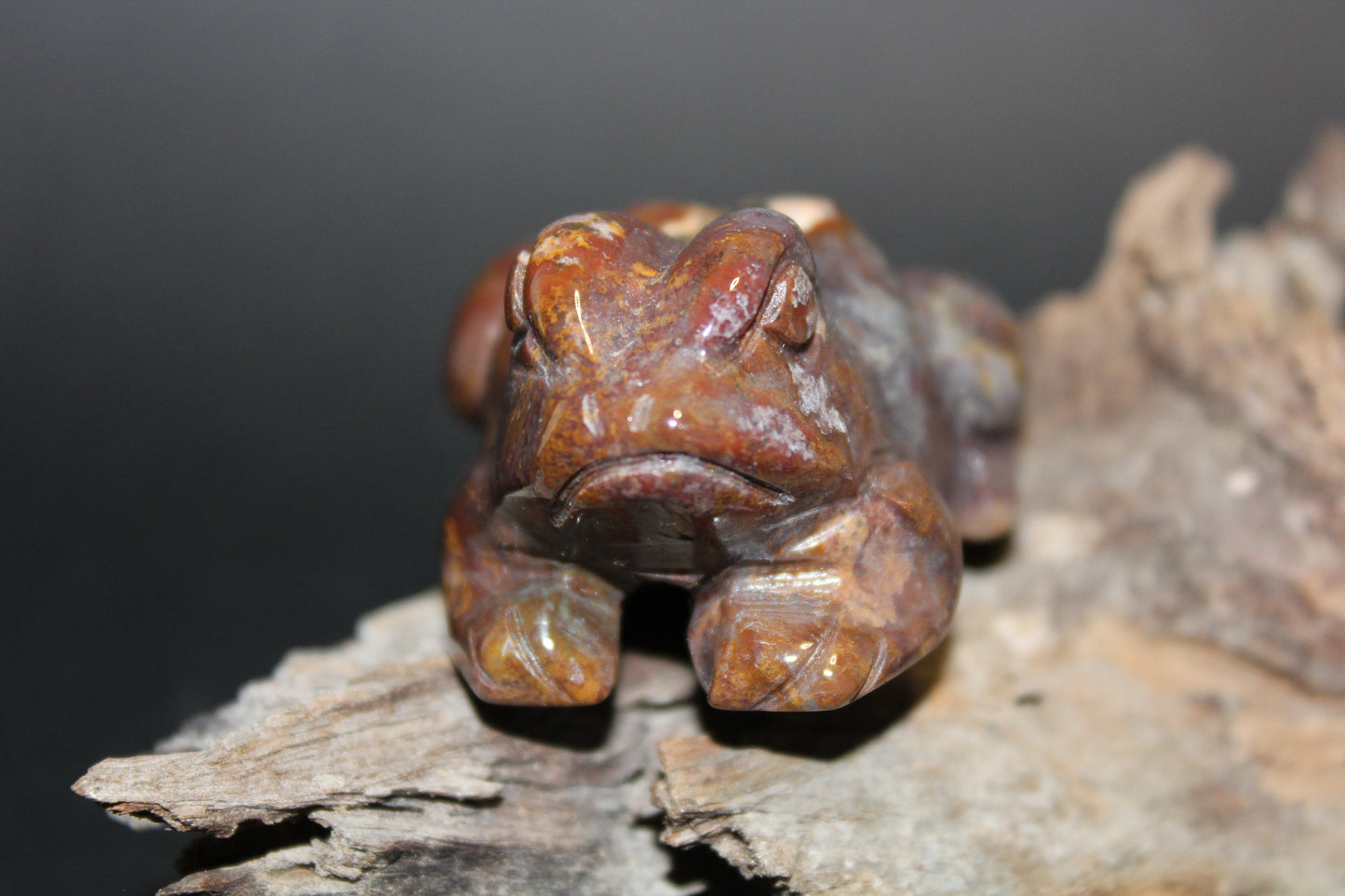 Animals - Frog - Mookaite