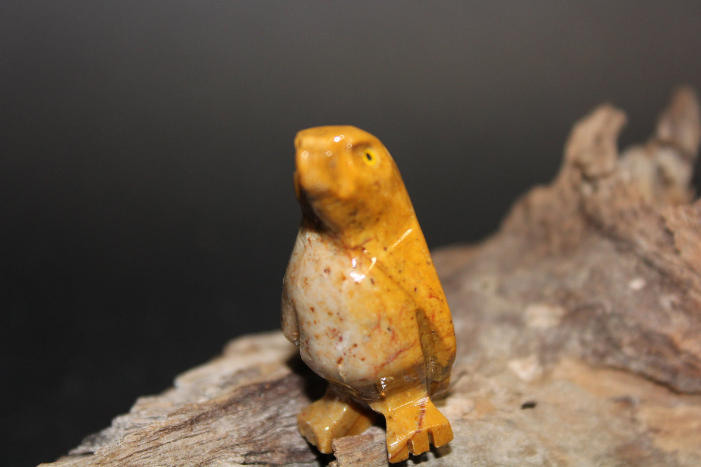 Animals - Penguin - Steatite