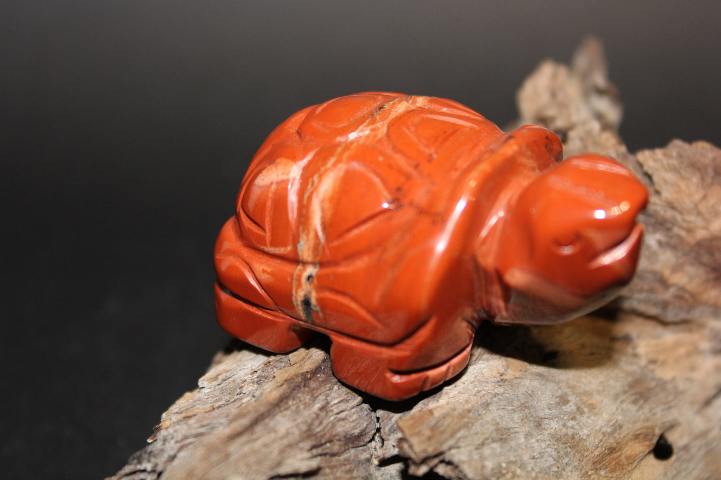 Animals - Turtle - Red Jasper