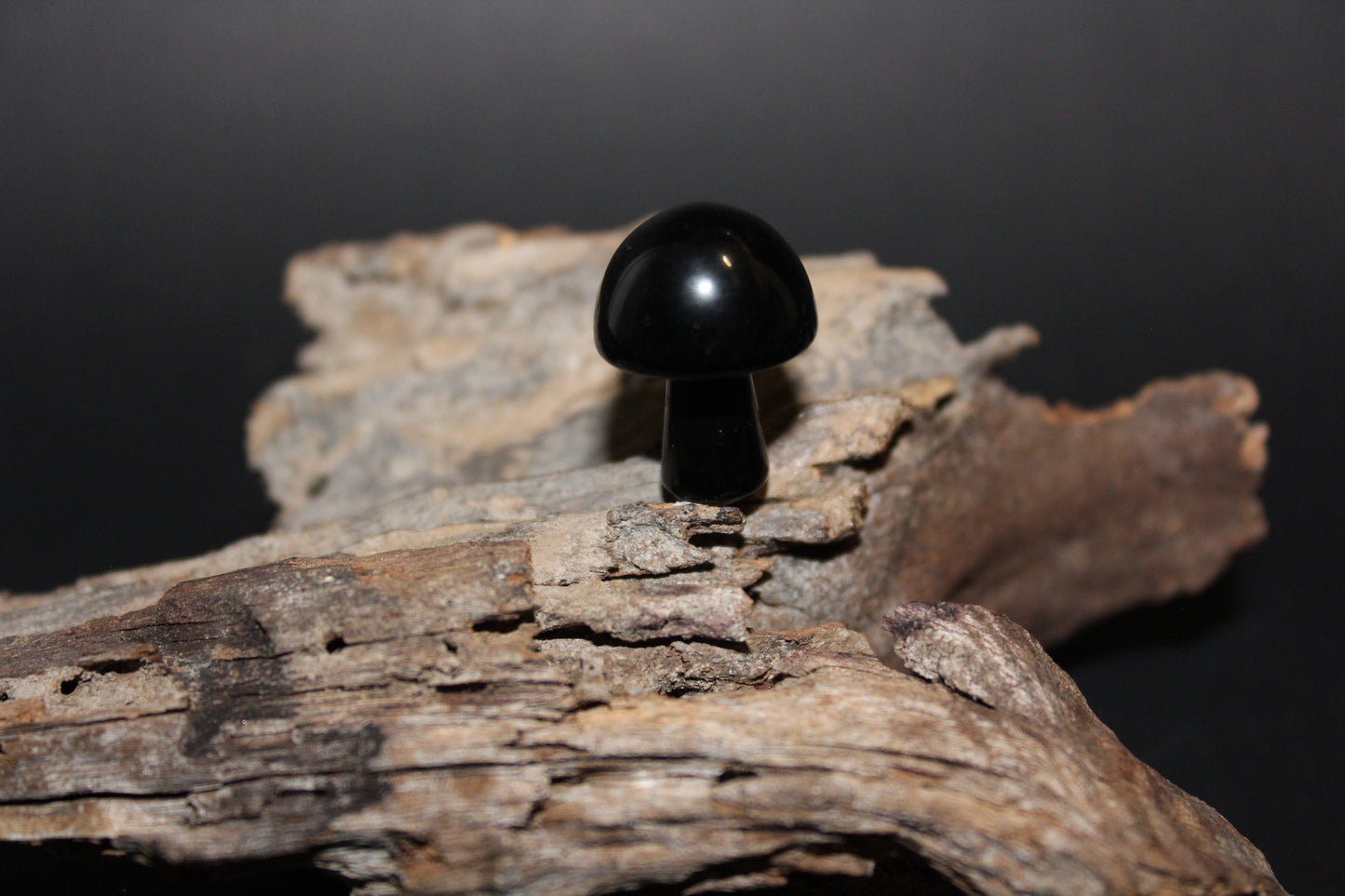 Carved - Mushroom - Onyx - xs