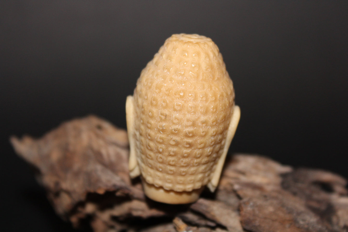 Carved - Buddha Head - Vegetable Ivory