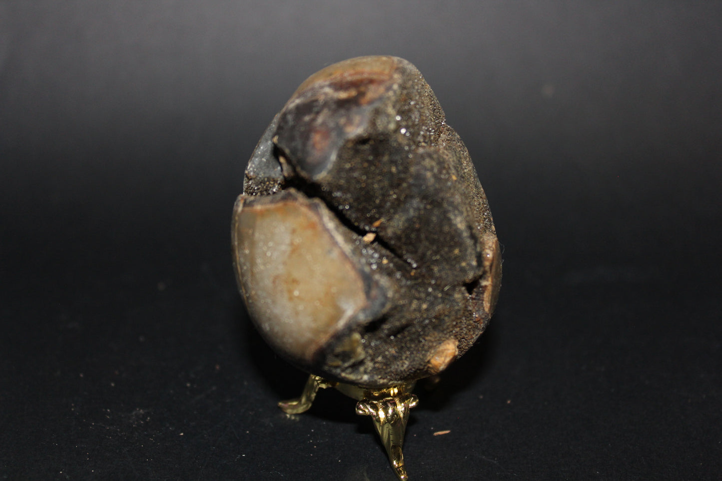 Carved - Egg (open) - Septarian