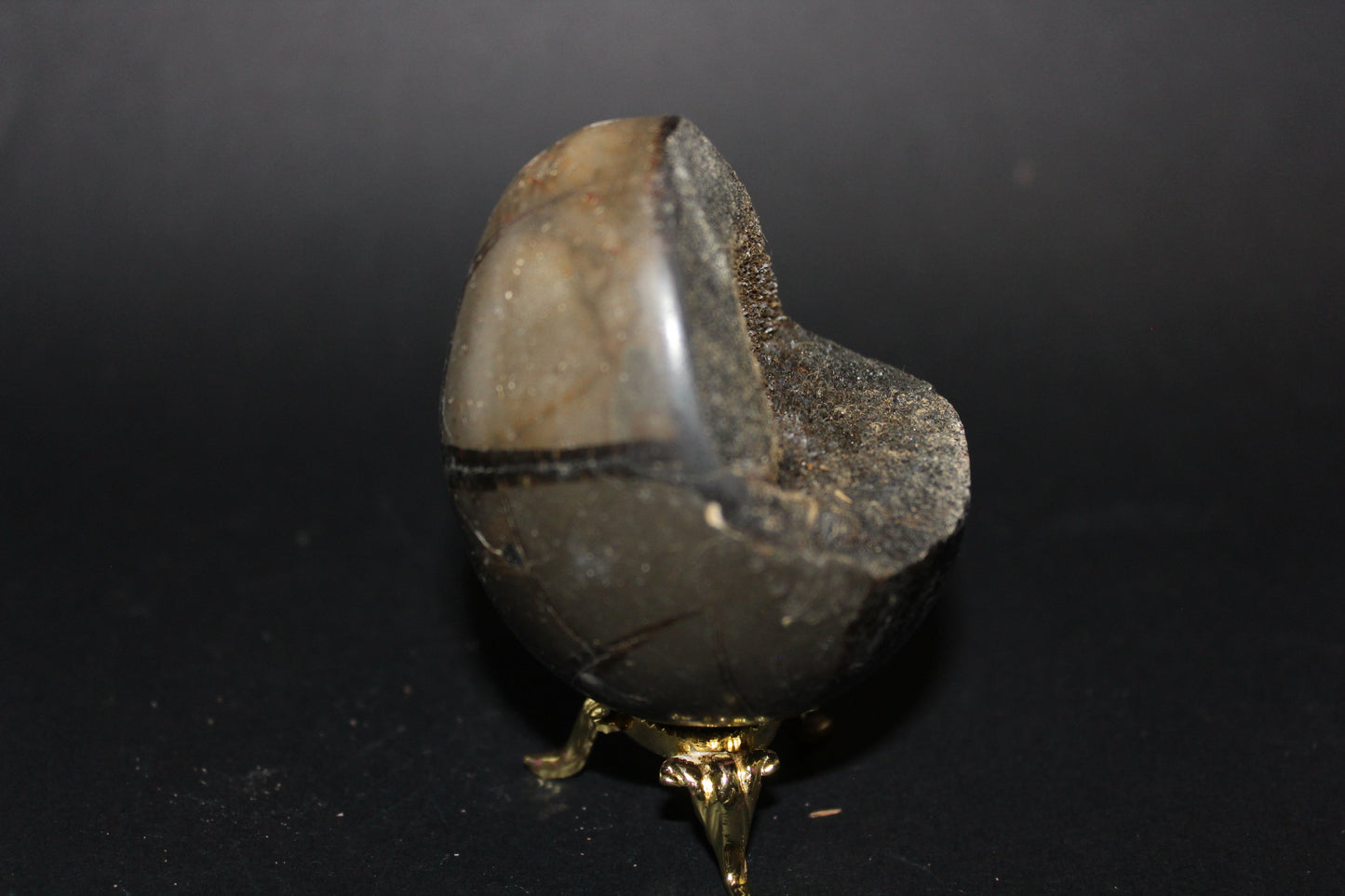 Carved - Egg (open) - Septarian