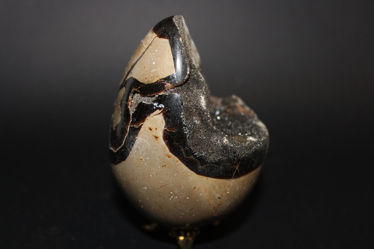 Carved - Egg (open) - Septarian
