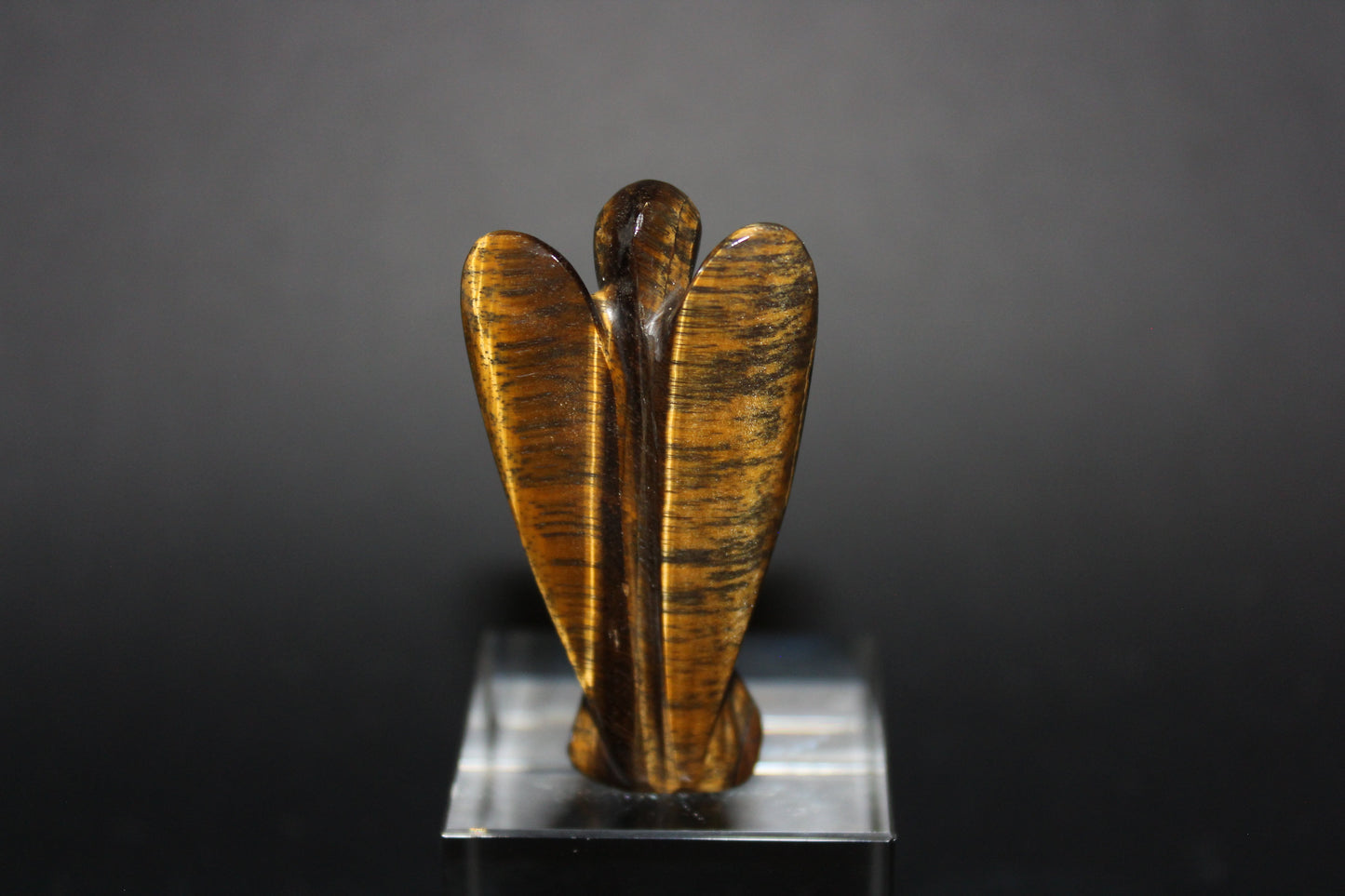 Angels - Tiger Eye - med