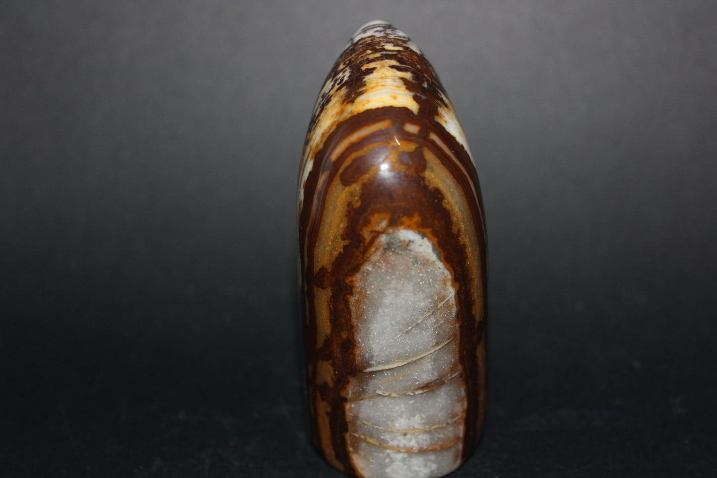 Polished - Brown Jasper - freeform - med