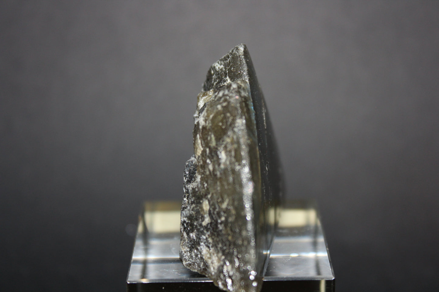 Polished - Labradorite - sml