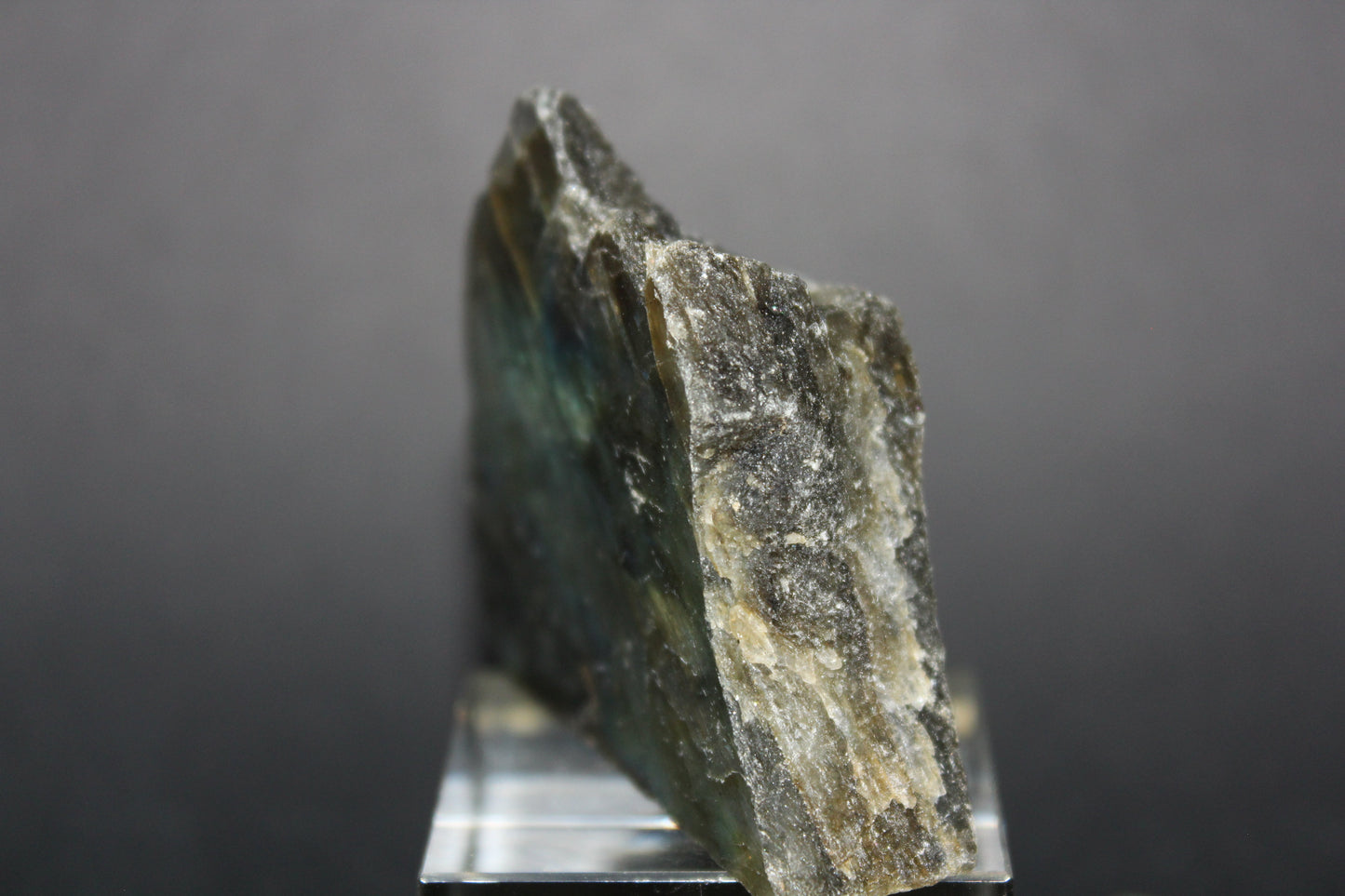 Polished - Labradorite - sml