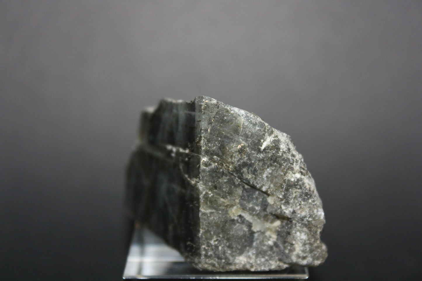 Polished - Labradorite - sml