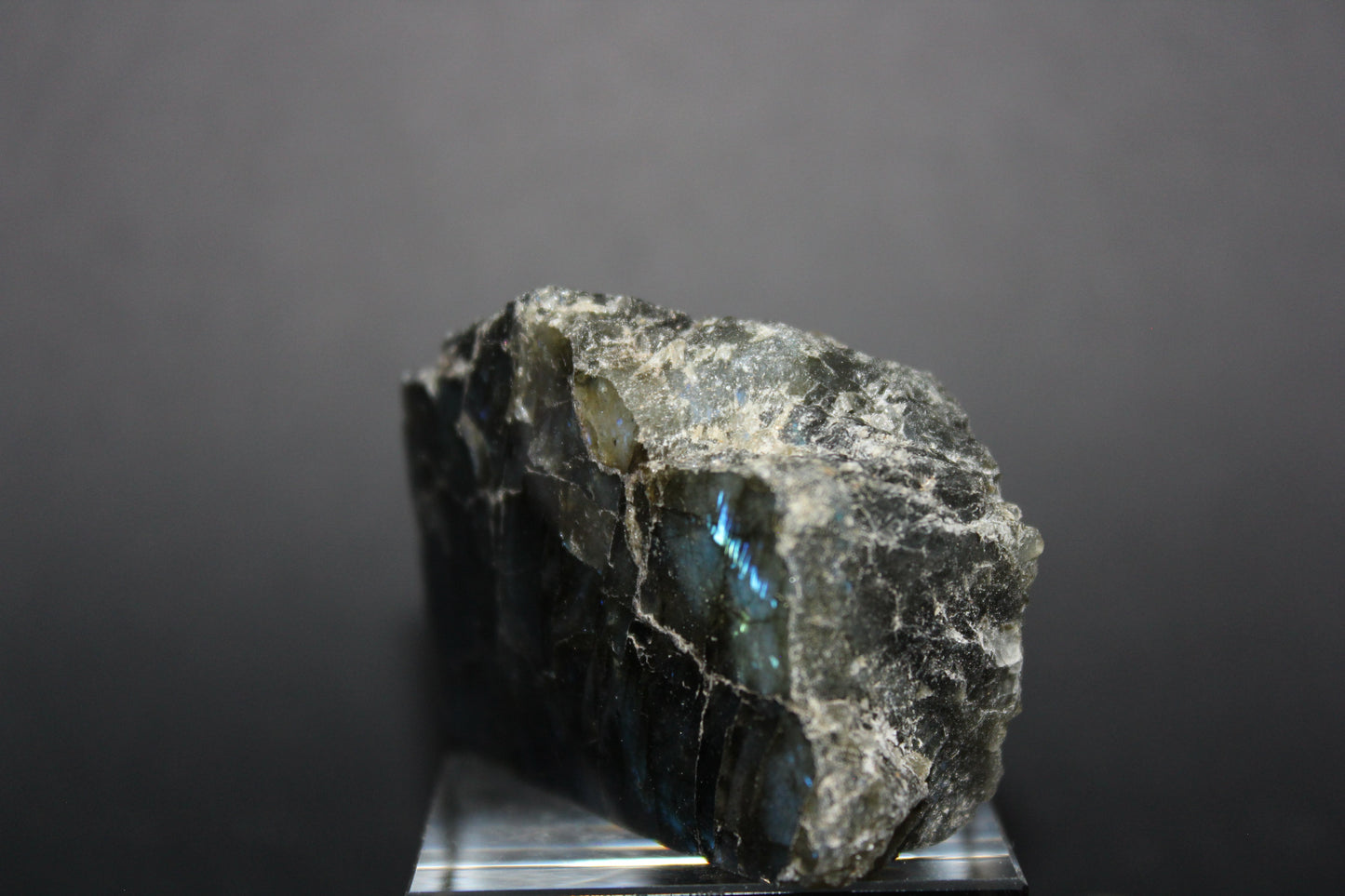 Polished - Labradorite - sml
