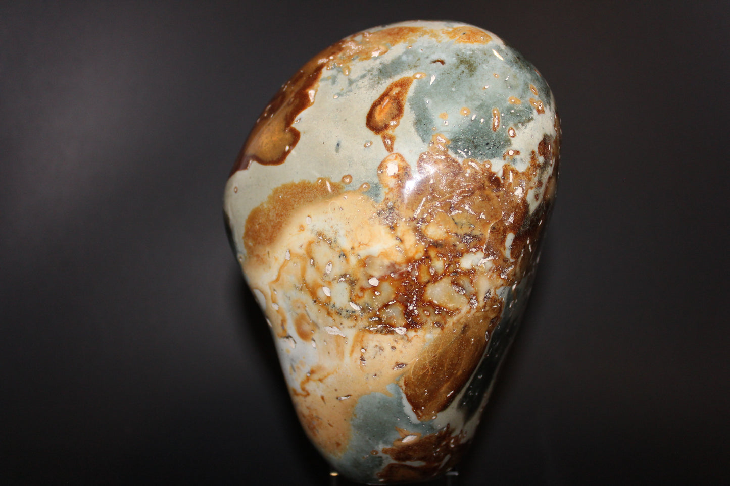 Polished - Polychrome Jasper - freeform - xge