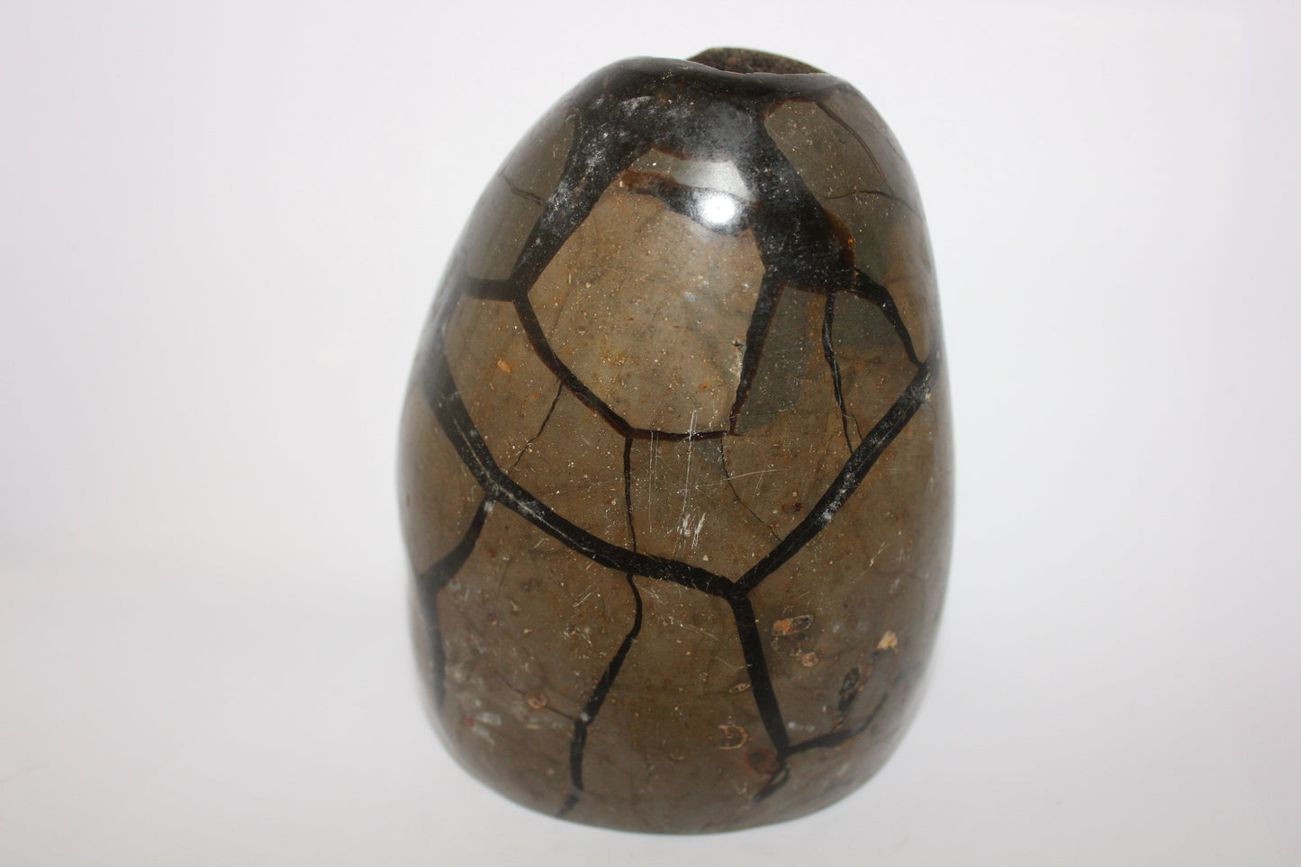 Polished - Septarian - freeform/open - xlge