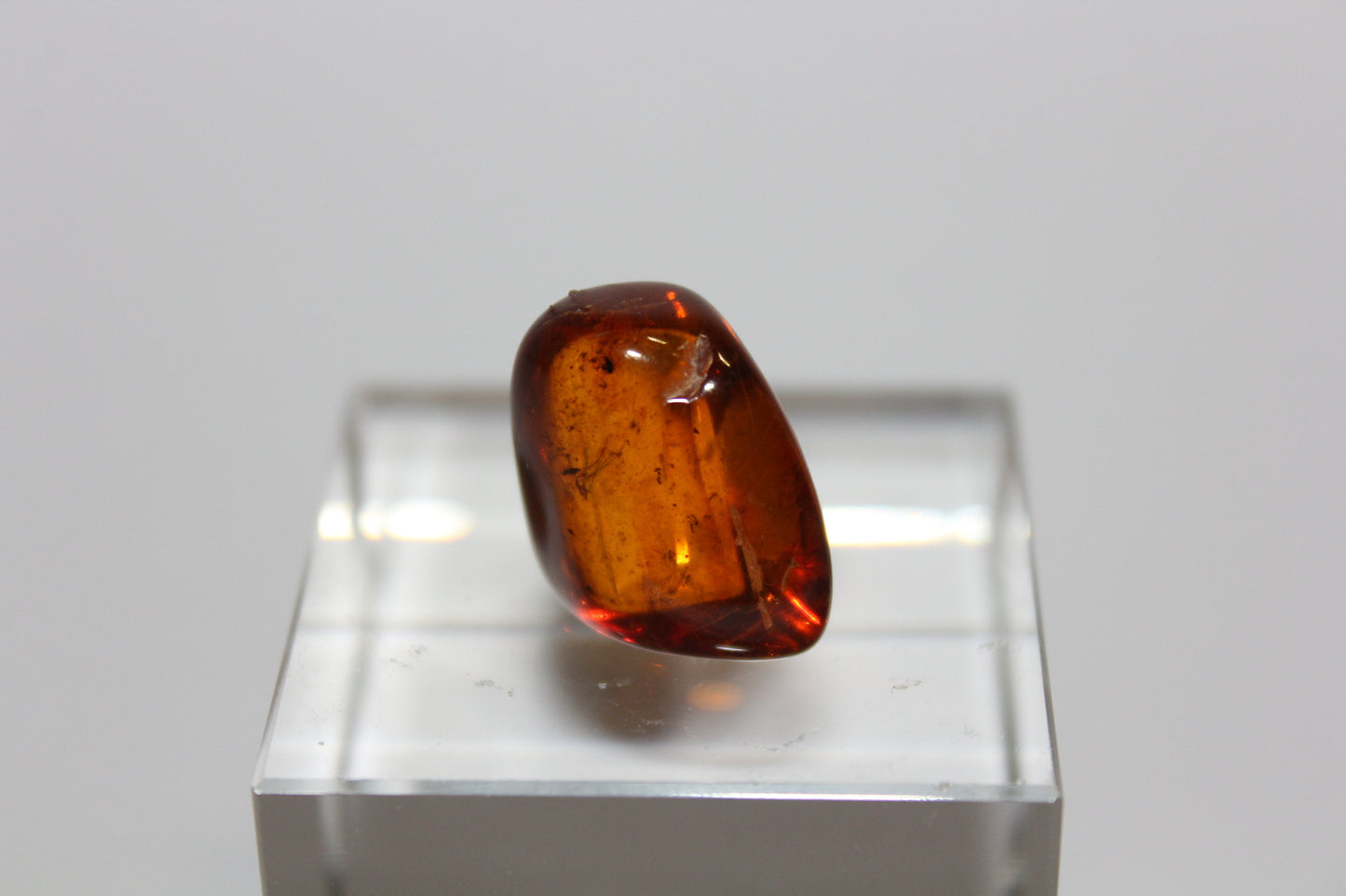 Raw - Amber (contains insect) - sml