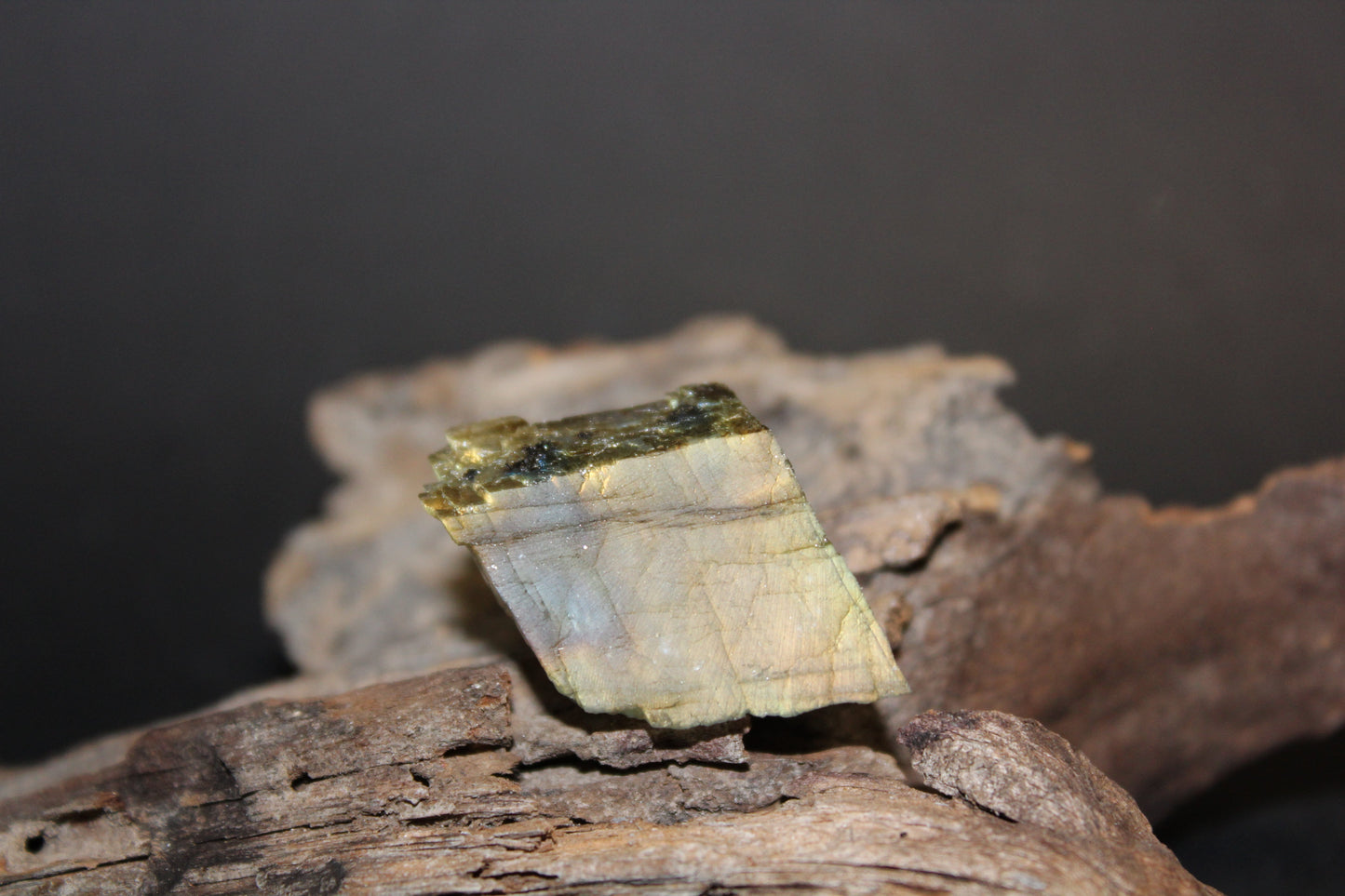 Slice - Labradorite (raw) - xsml