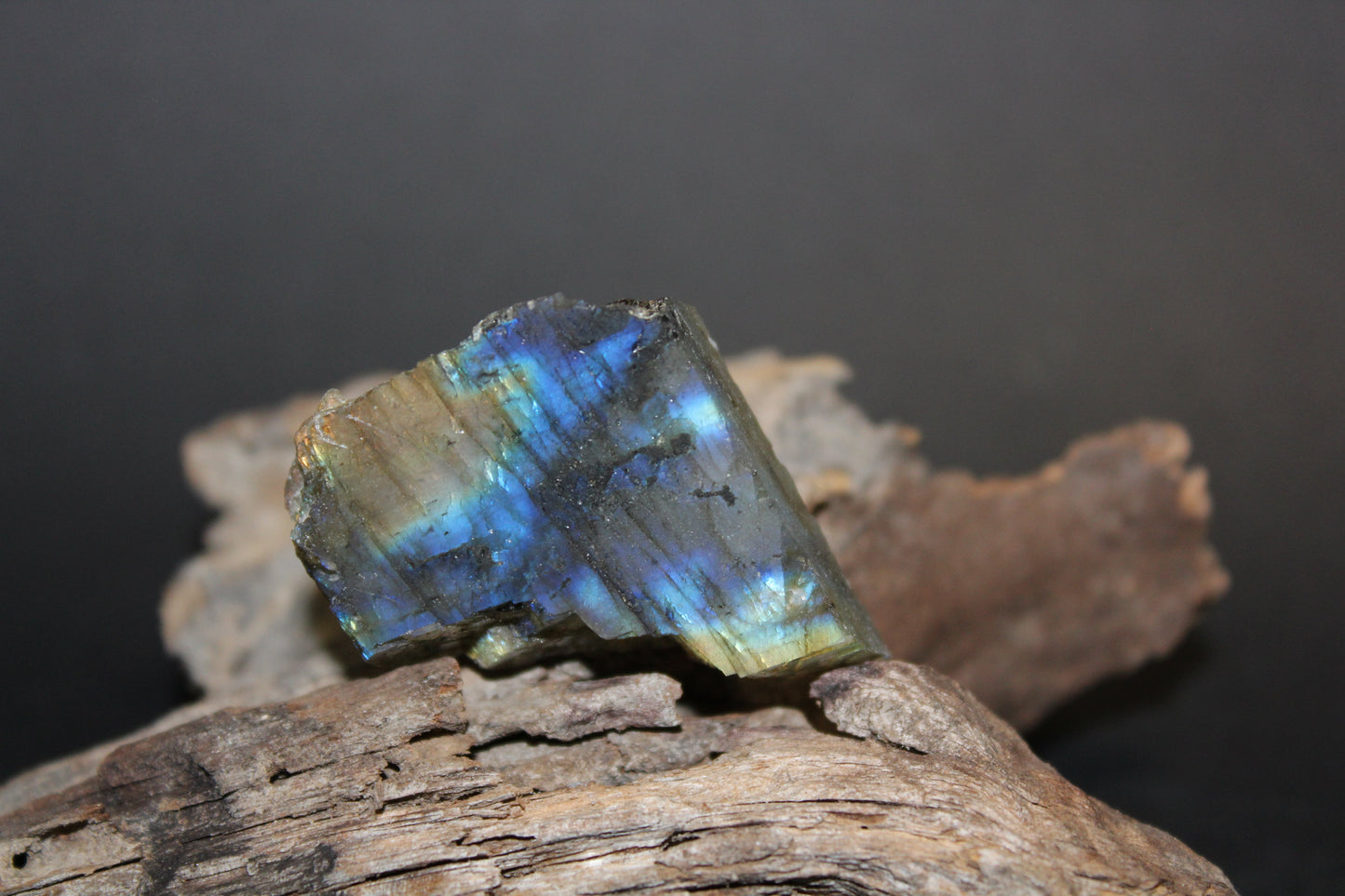 Slice - Labradorite (raw) - xsml