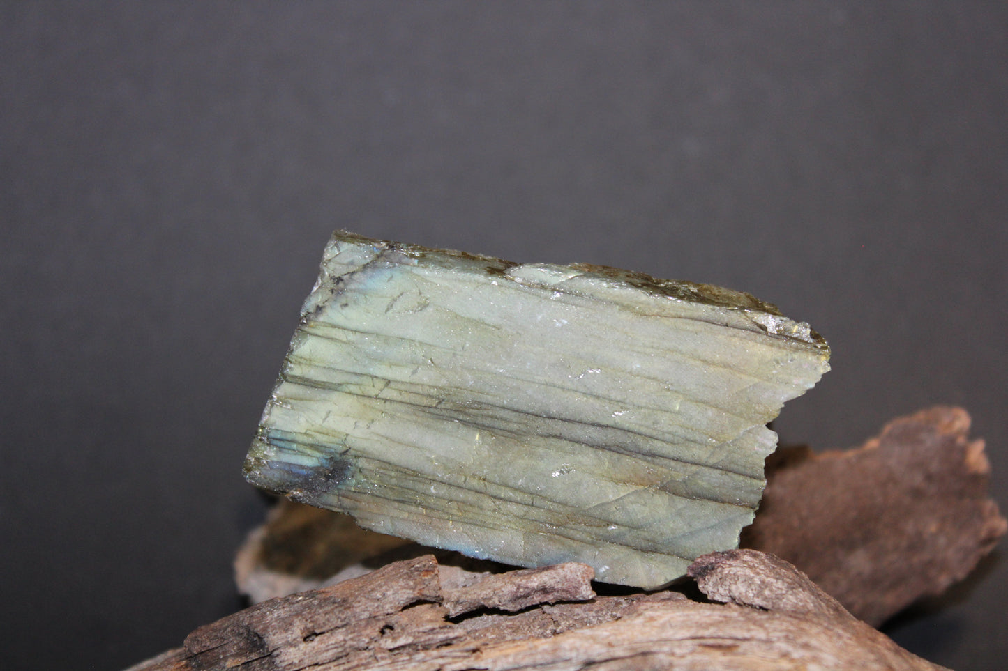 Slice - Labradorite (raw) - xsml