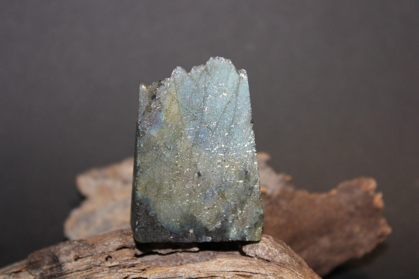 Slice - Labradorite (raw) - xsml