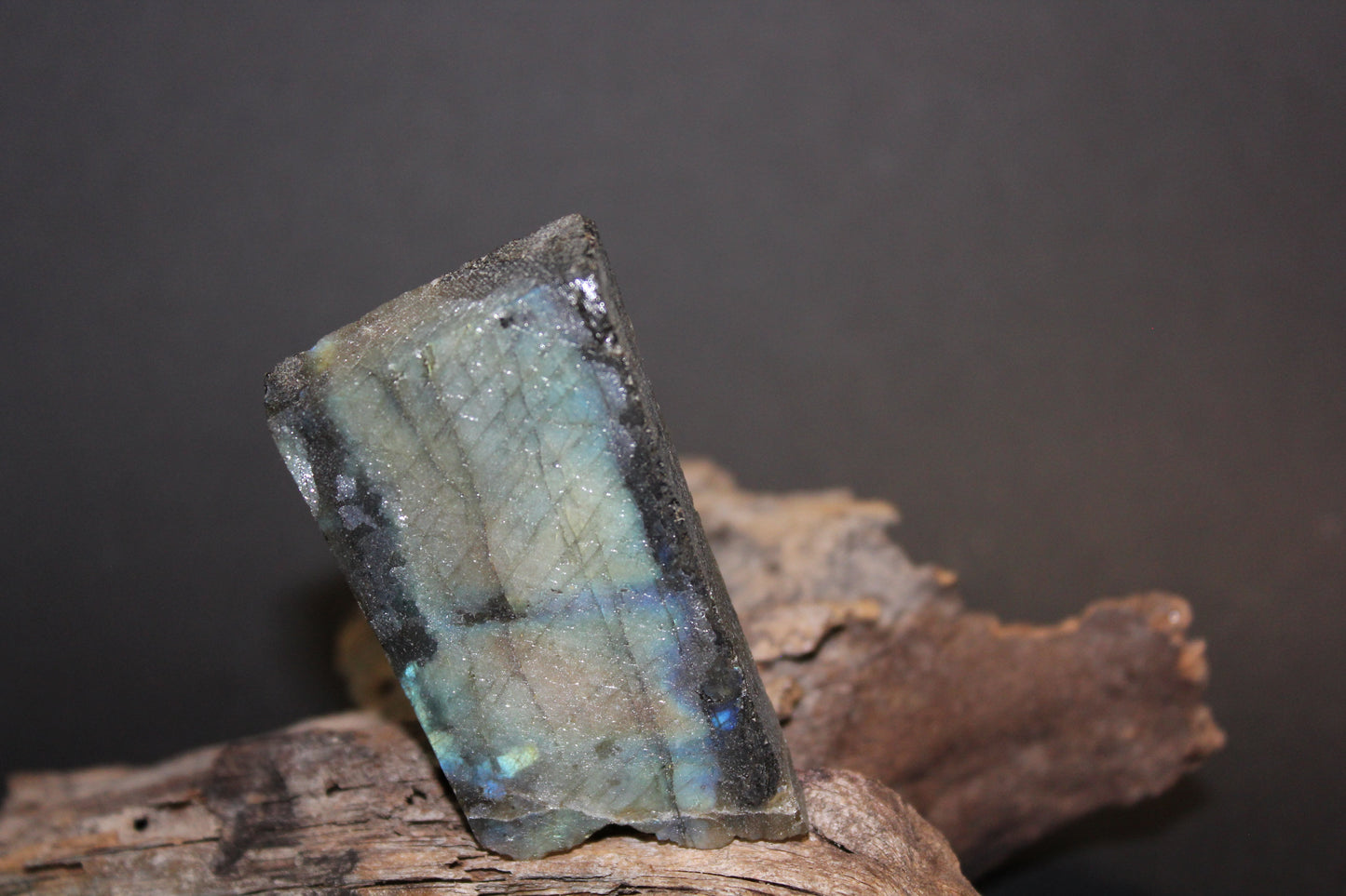 Slice - Labradorite (raw) - xsml