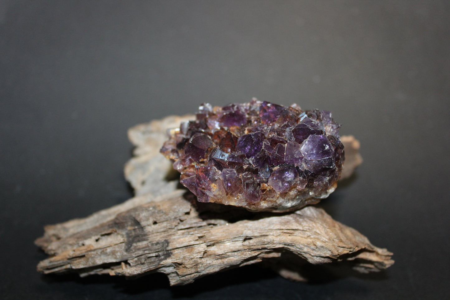 Cluster - Amethyst (flat) - xsml