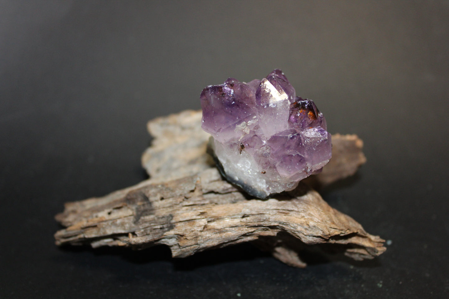 Cluster - Amethyst (flat) - xsml