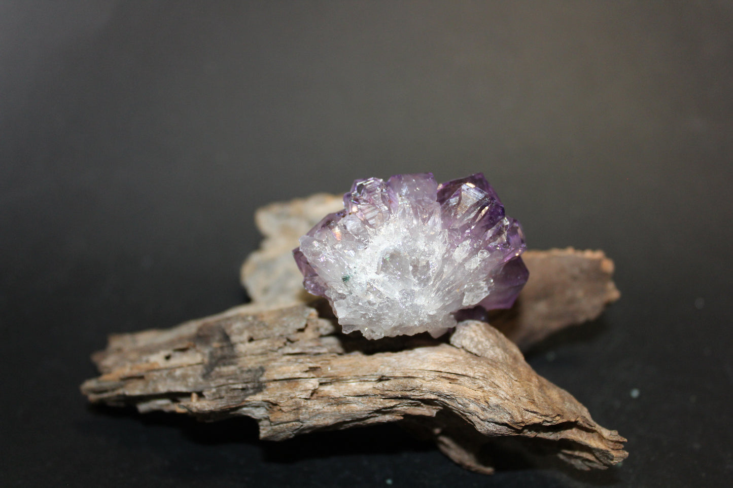 Cluster - Amethyst (flat) - xsml