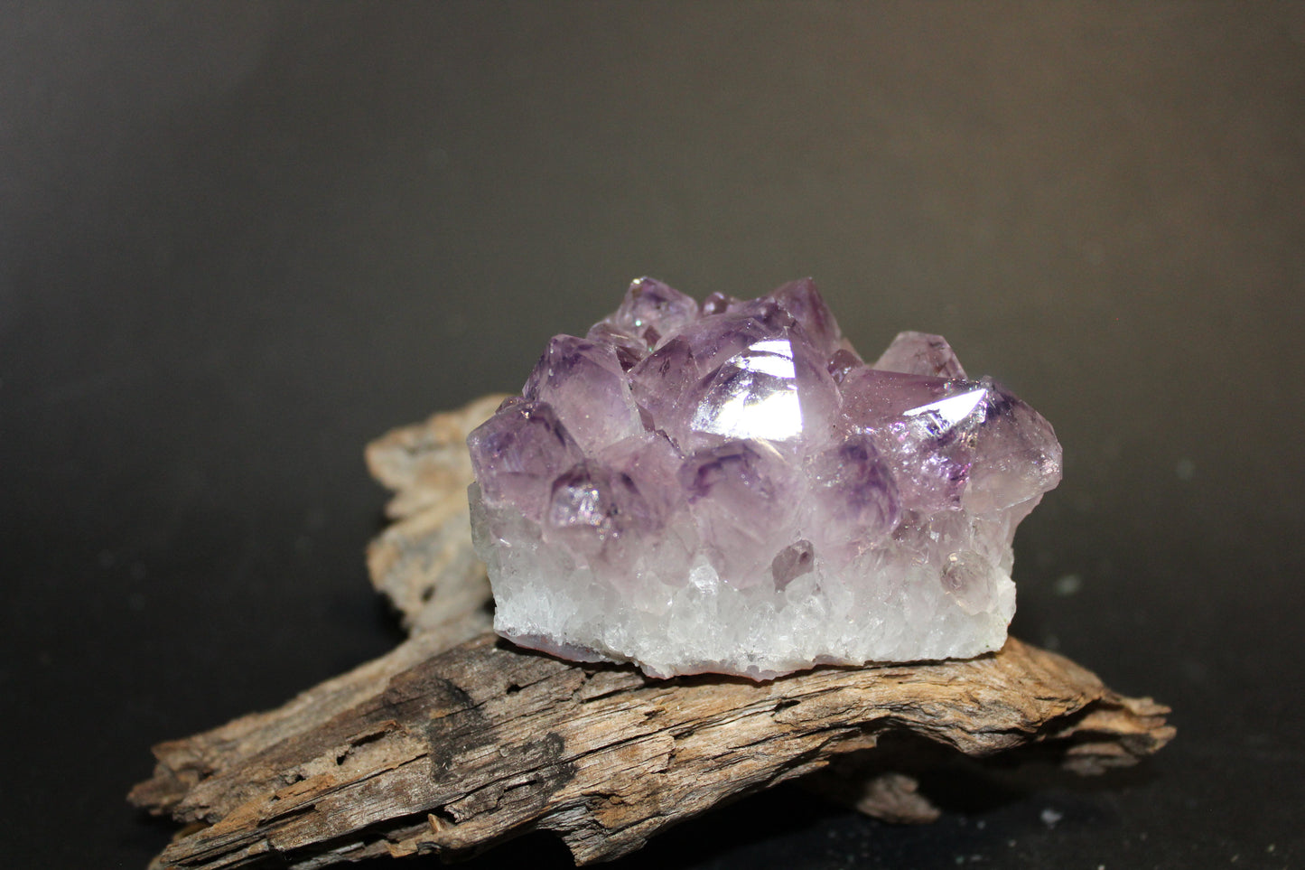 Cluster - Amethyst (flat) - sml