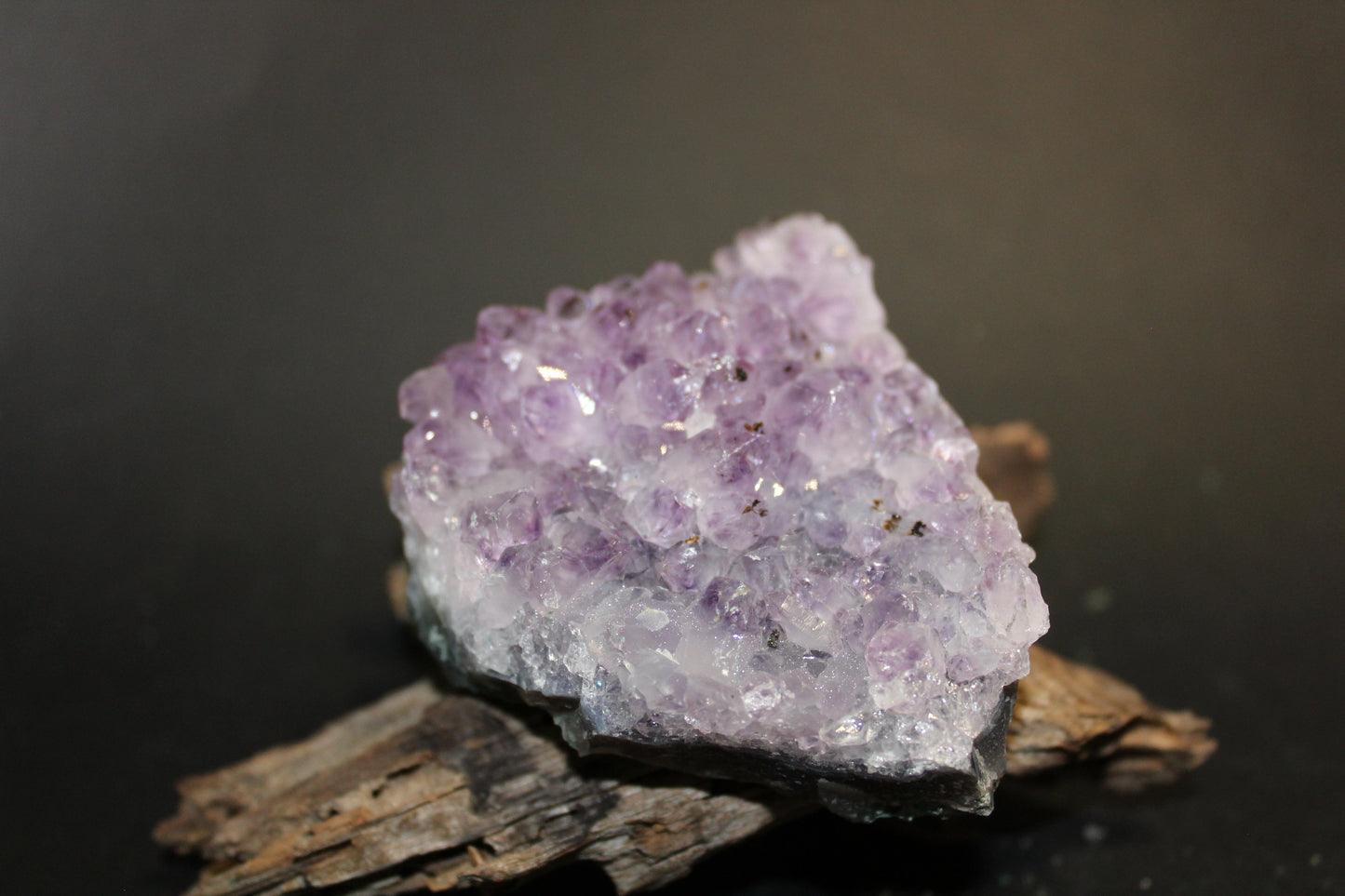 Cluster - Amethyst (flat) - BGrade - med