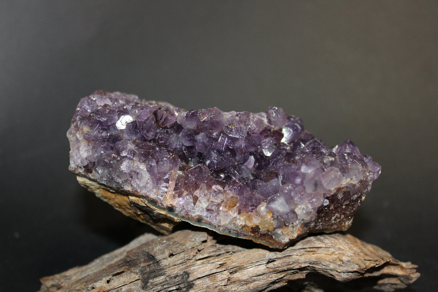 Cluster - Amethyst (flat) - med