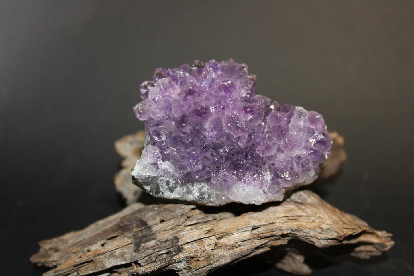 Cluster - Amethyst (flat) - sml