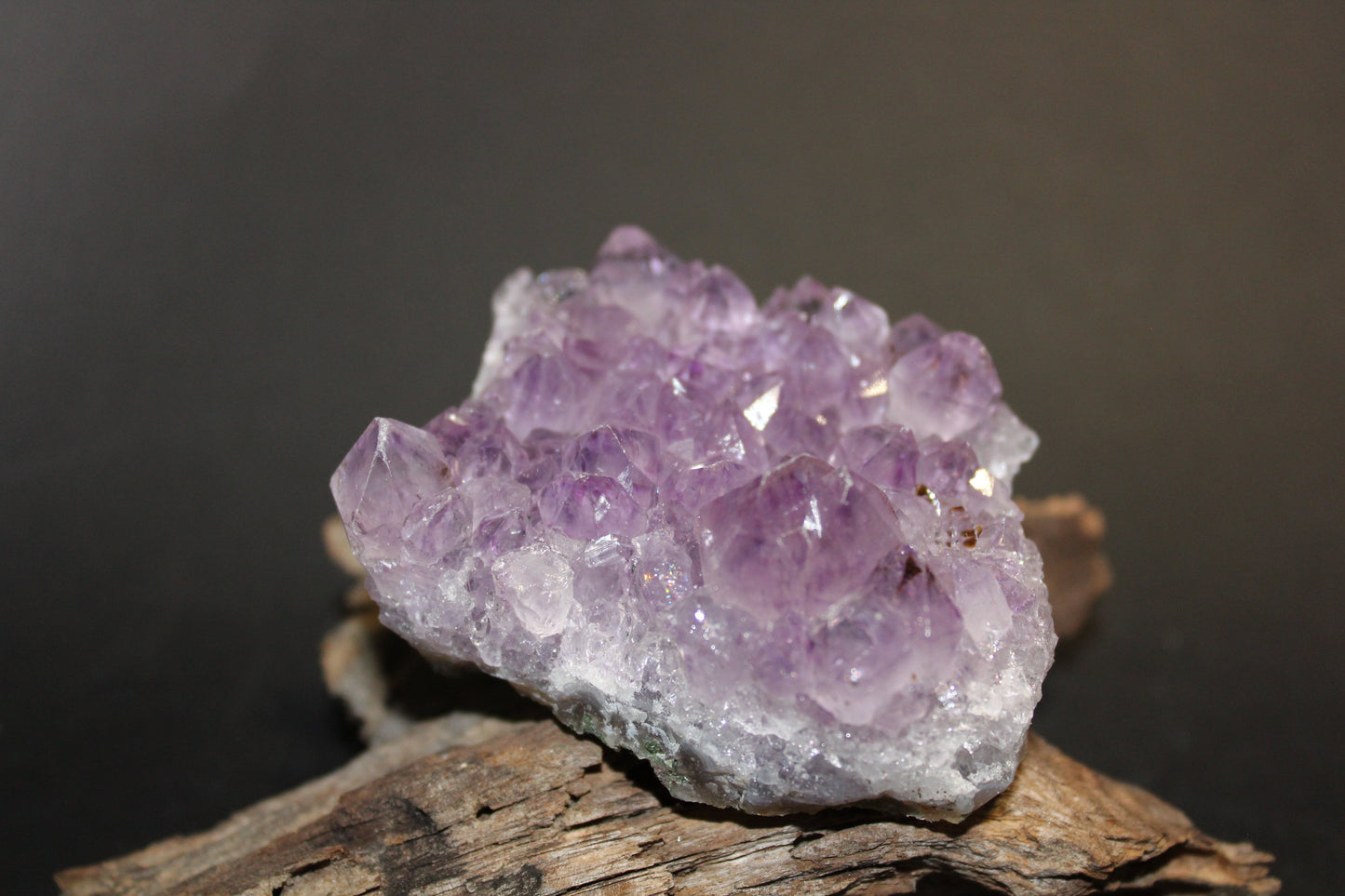 Cluster - Amethyst (flat) - med