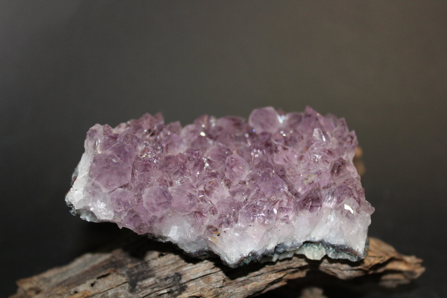 Cluster - Amethyst (flat) - med