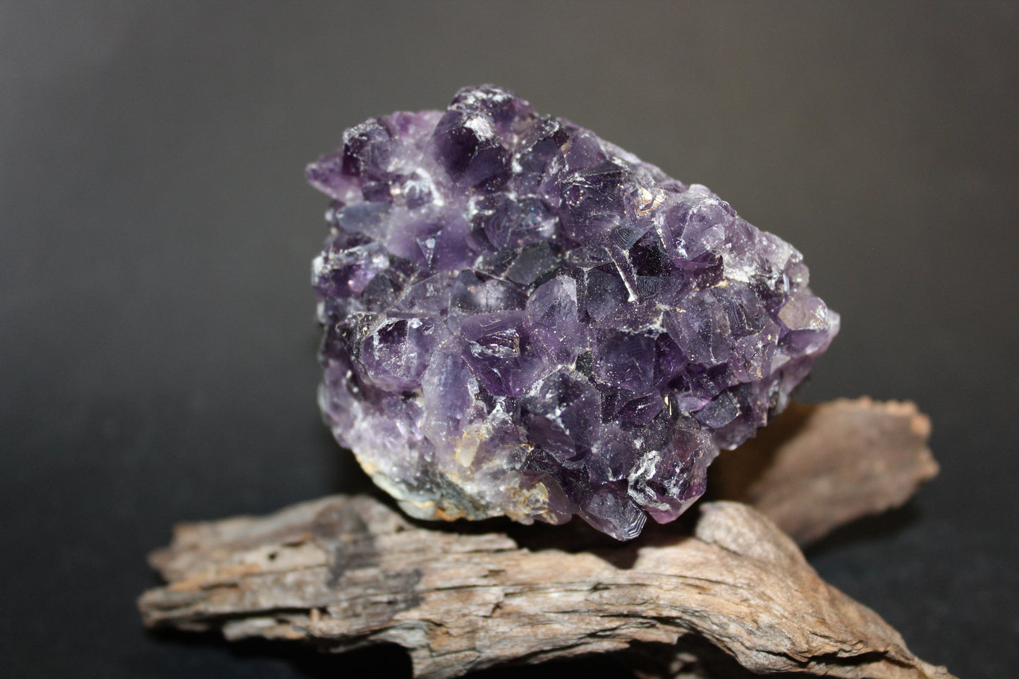 Cluster - Amethyst (flat) - med