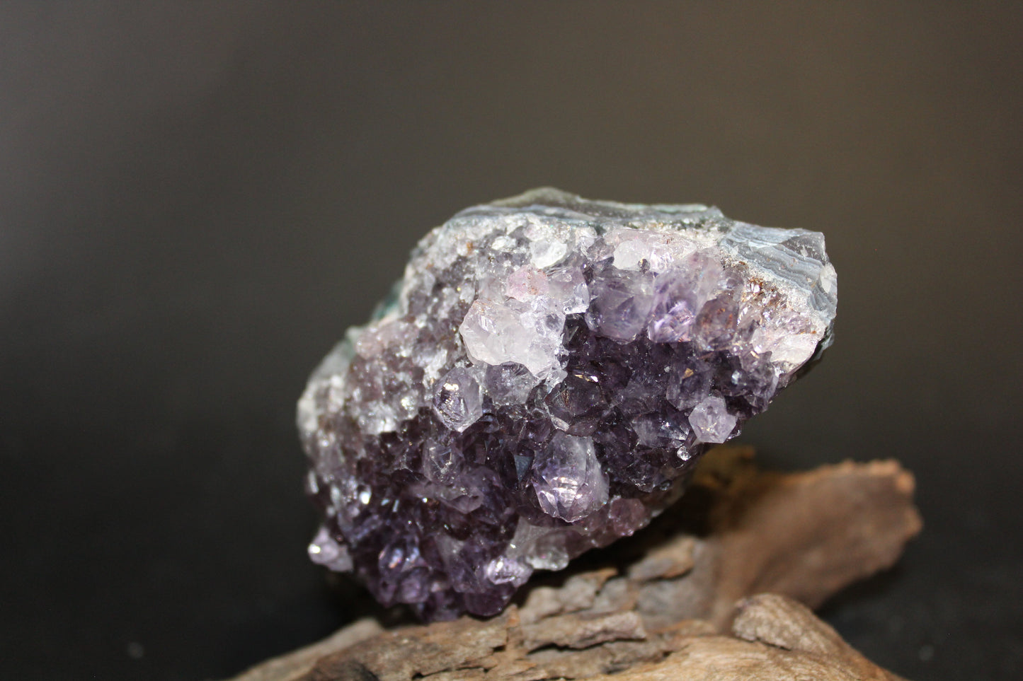 Cluster - Amethyst (flat) - med