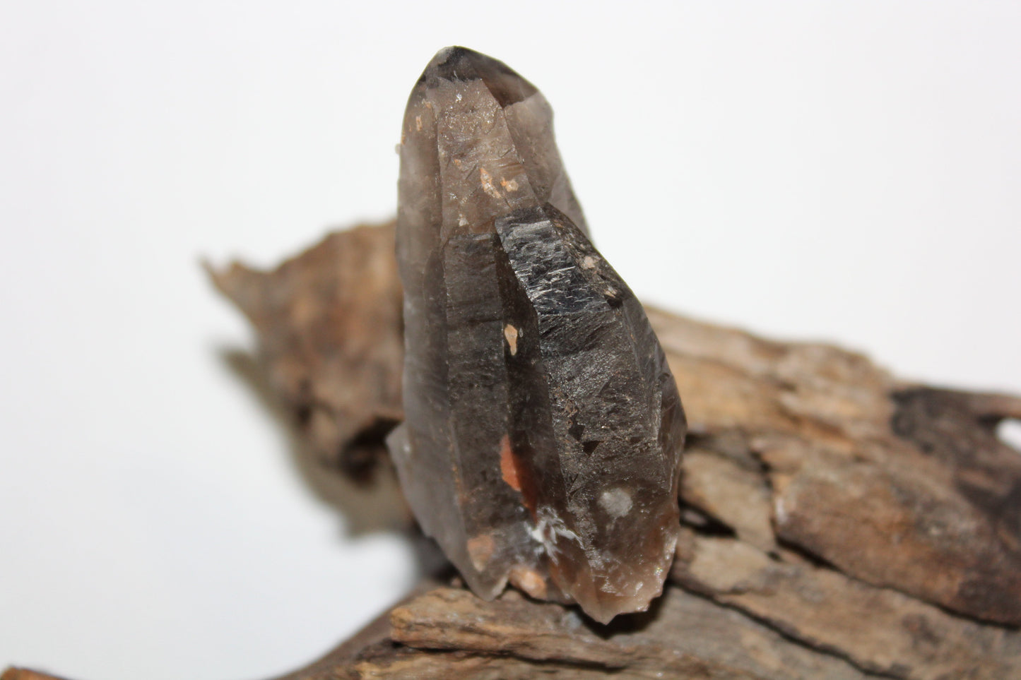 Raw - Smoky Quartz (Crystal Peak, Colorado) - sml