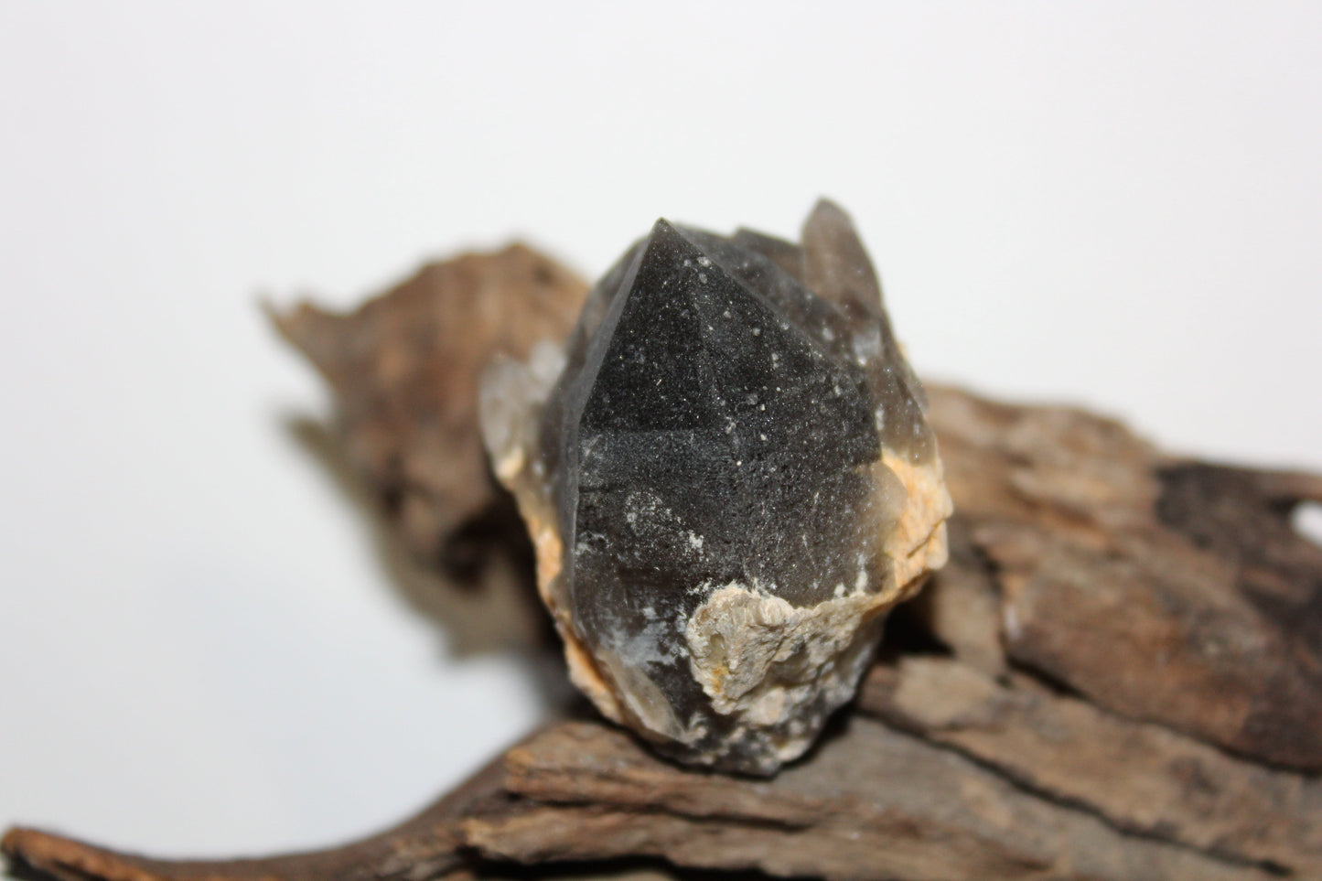 Raw - Smoky Quartz (Crystal Peak, Colorado) - sml