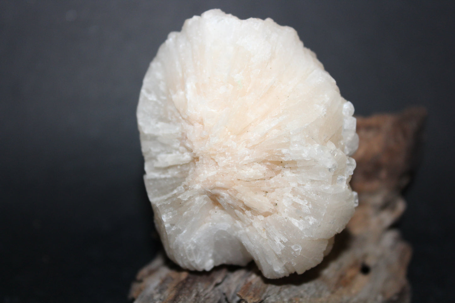 Raw - Stilbite (with Apophyllite) - med