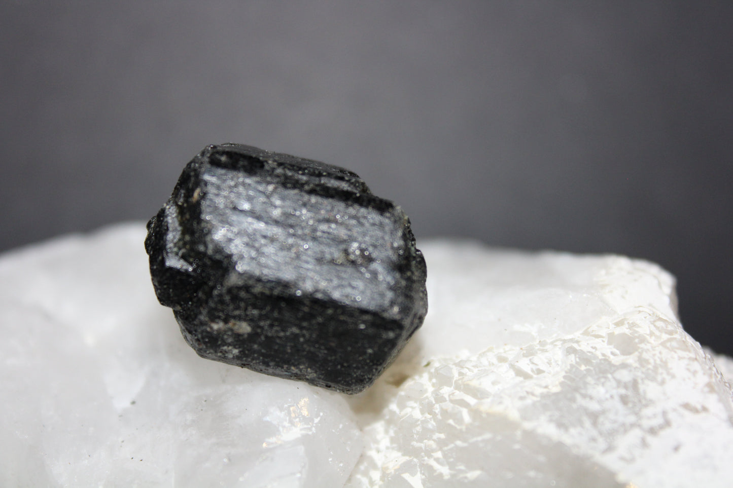 Raw - Tourmaline - Black - xsml