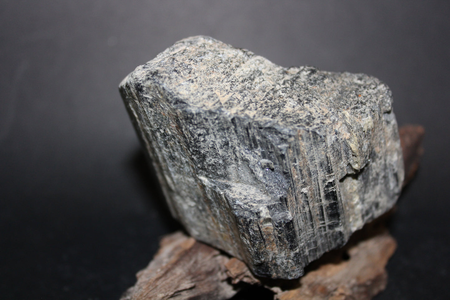 Raw - Tourmaline - Black (Australia) - med
