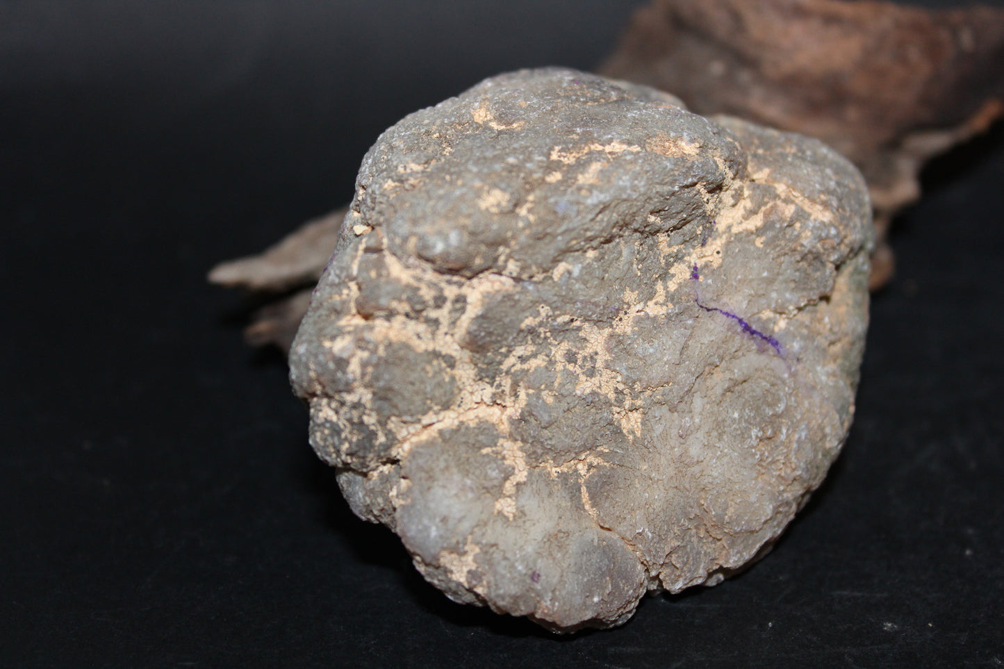 Geode - Clear Quartz (Purple - dyed) - sml/med